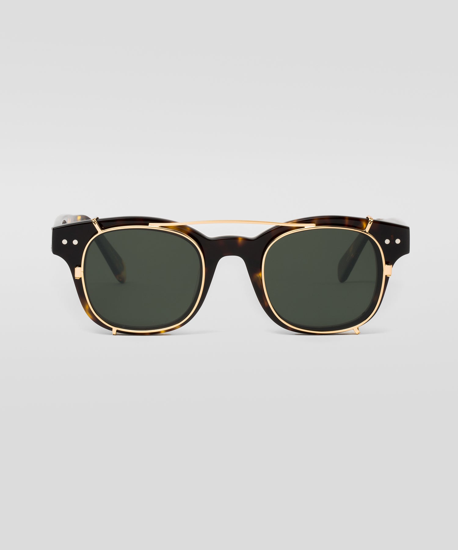 Maynard dark tortoise